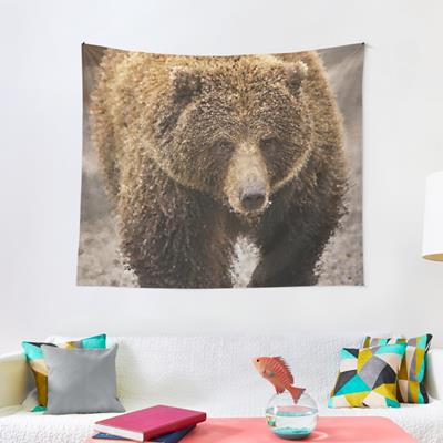 Probably Friendly Bear