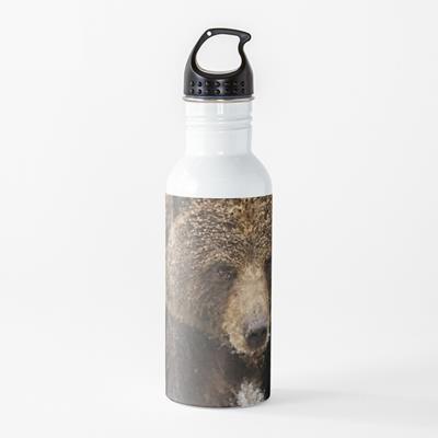Probably Friendly Bear