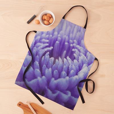 Purple Dahlia