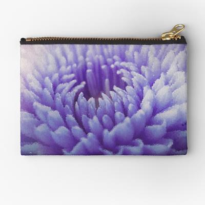 Purple Dahlia