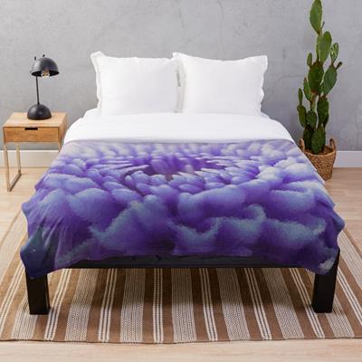 Purple Dahlia