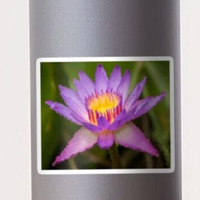 Purple Flower Blooming
