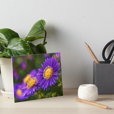 Purple Flowers Against Greenery