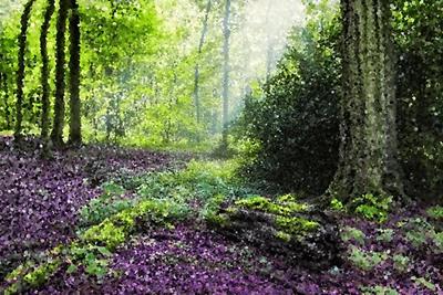 Purple Forest Path
