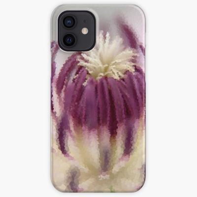 Purple and White Clematis