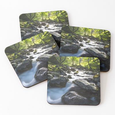 Rocky Forest Stream