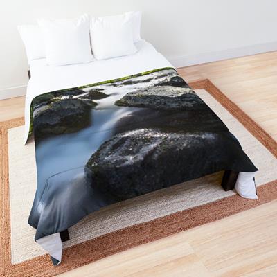 Rocky Forest Stream