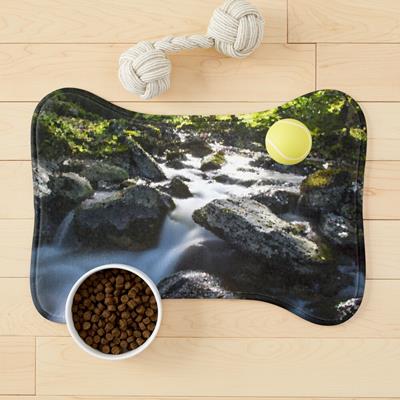Rocky Forest Stream