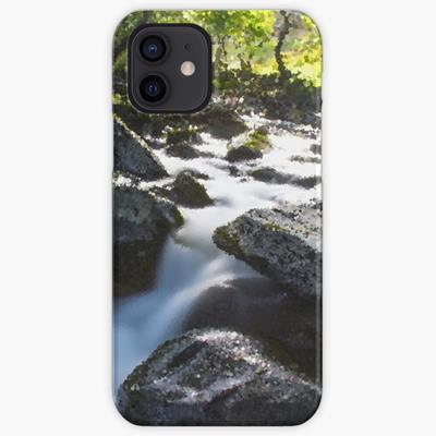 Rocky Forest Stream