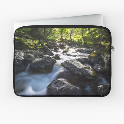 Rocky Forest Stream