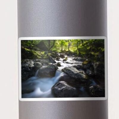 Rocky Forest Stream