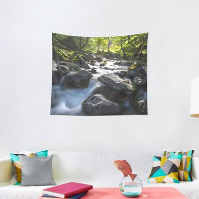 Rocky Forest Stream
