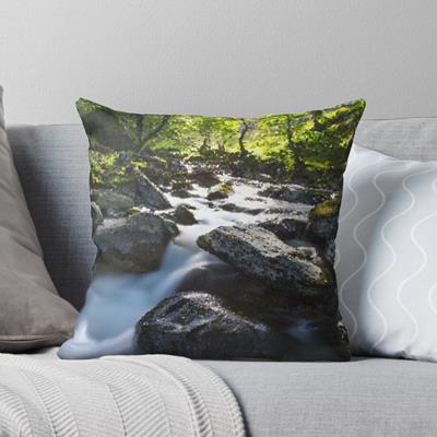 Rocky Forest Stream