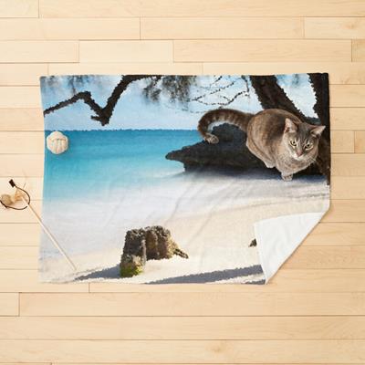 Rustic Beach Scene