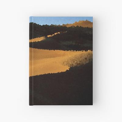 Sand Dunes in Shadow