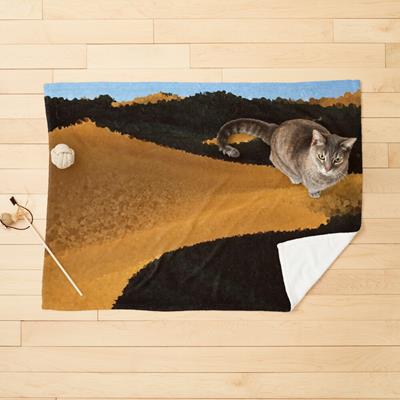 Sand Dunes in Shadow