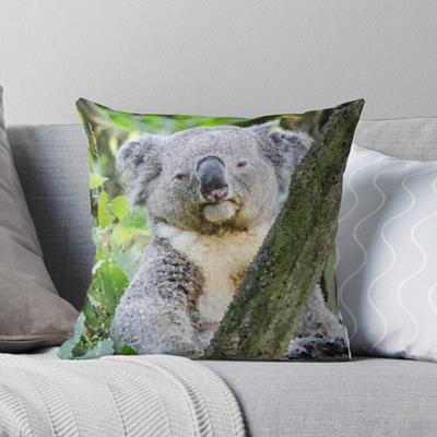 Sleepy Koala