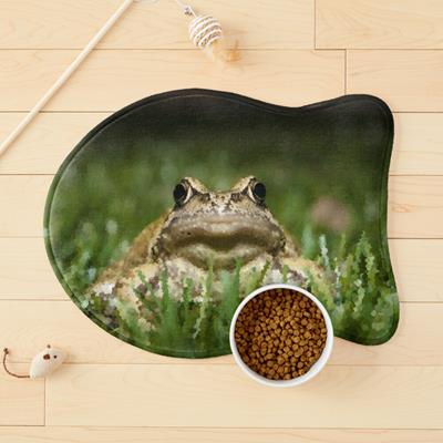 Slightly Judgmental Toad