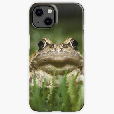 Slightly Judgmental Toad