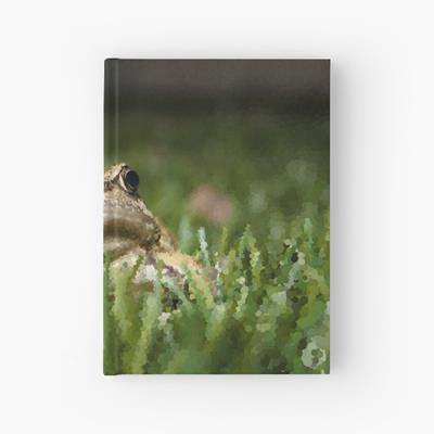 Slightly Judgmental Toad