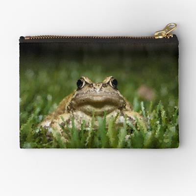 Slightly Judgmental Toad