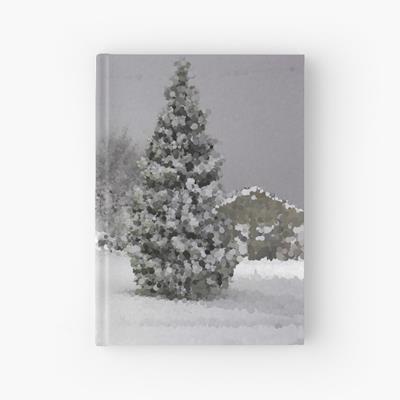 Small Town Under Snow