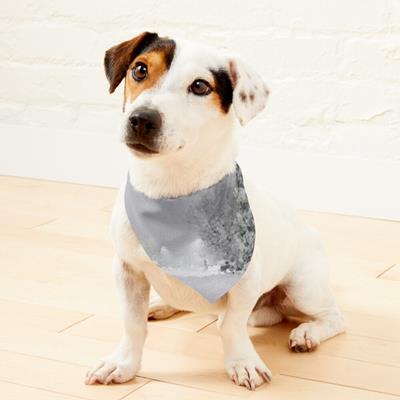 Small Town Under Snow