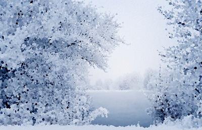 Snowy Wooded Landscape