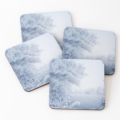 Snowy Wooded Landscape