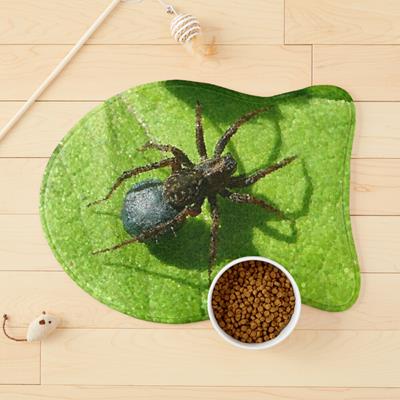 Spider Chilling on Leaves