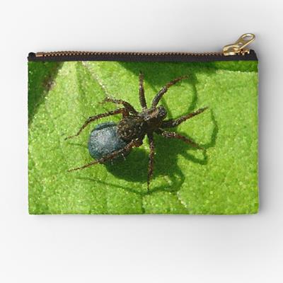 Spider Chilling on Leaves