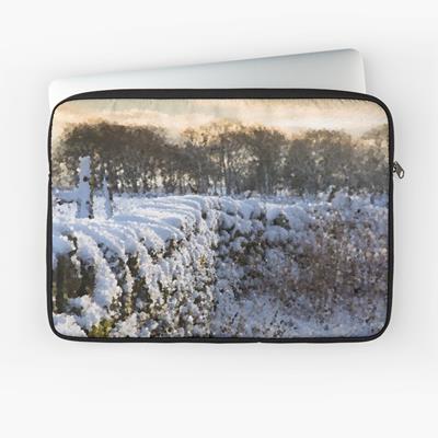 Stone Fence In Winter