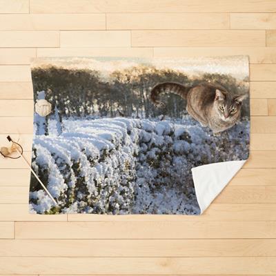 Stone Fence In Winter