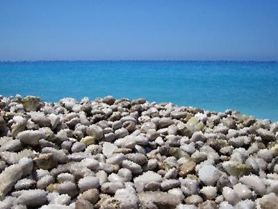 Stony Tropical Beach