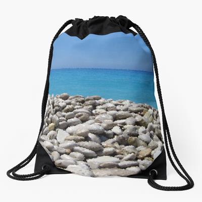 Stony Tropical Beach