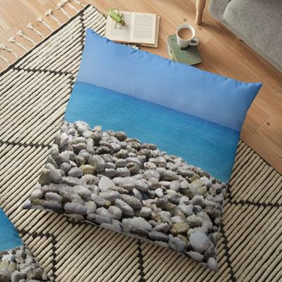 Stony Tropical Beach