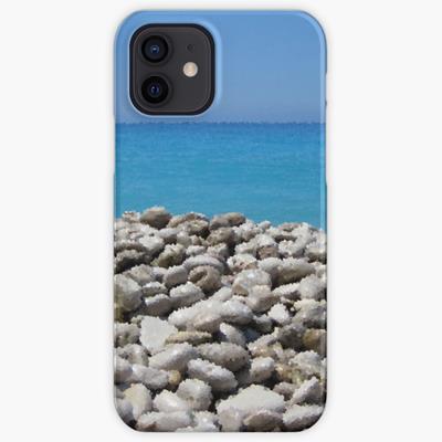 Stony Tropical Beach