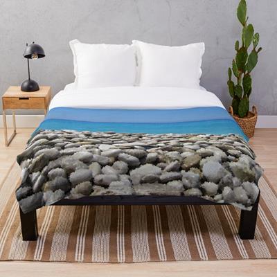 Stony Tropical Beach