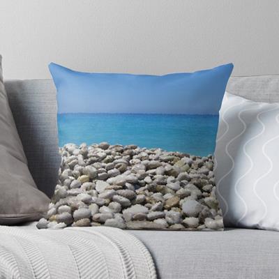 Stony Tropical Beach