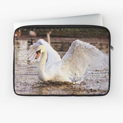 Strutting Swan