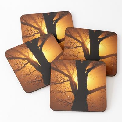 Sun Backlit Tree
