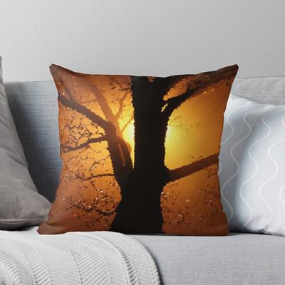 Sun Backlit Tree