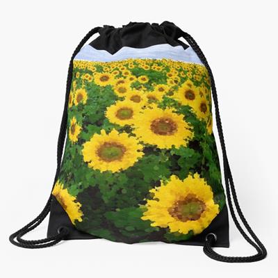 Sunflower Field