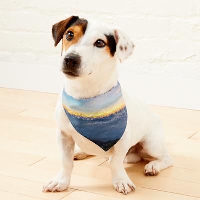 Sunset Behind the Mountains