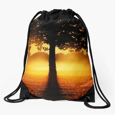 Sunset Tree