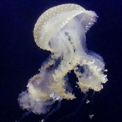 Swirling Jellyfish