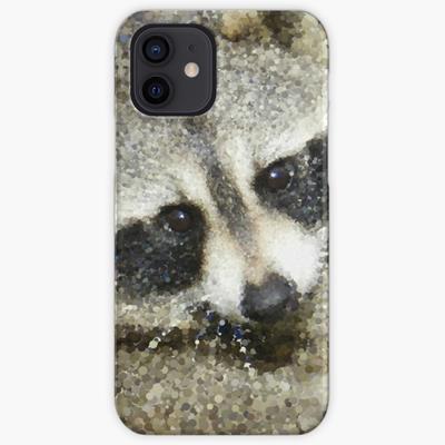 The Cutest Raccoon