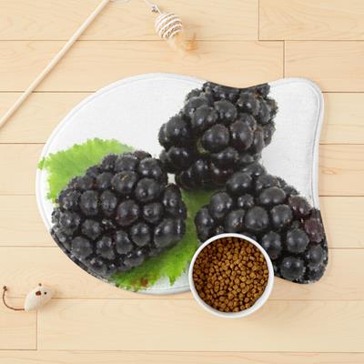 Three Perfect Blackberries