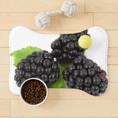 Three Perfect Blackberries