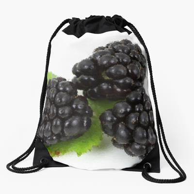 Three Perfect Blackberries